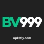 BV999 Game