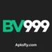 BV999 Game