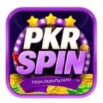 PKR Spin Game