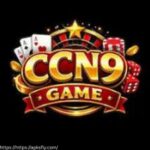 CCN9 Game